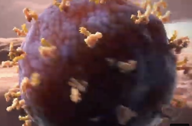 России кислород никто перекрыть не сможет