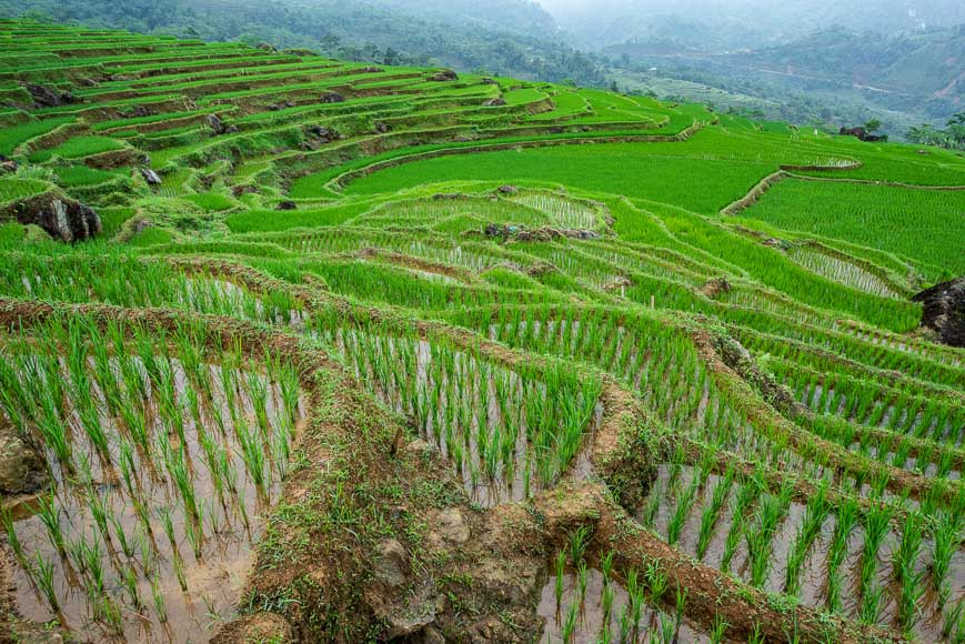 Куда поехать, чтобы увидеть невиданный Вьетнам.