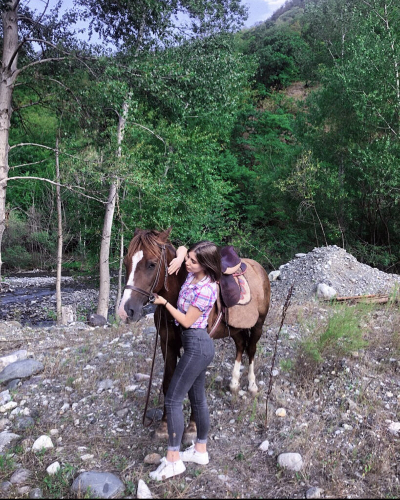 От «Папы-собаки» к «Маме-собаке»