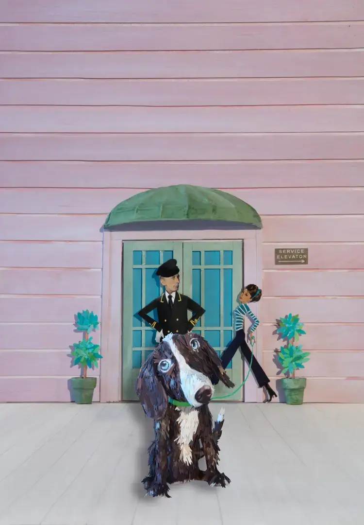 В некоторых зданиях собаки выходят с мусором! Америка сходит с УМА!!