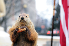 Это ужасно, Фред... Все были потрясены произошедшим...
