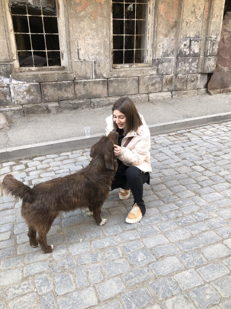 От «Папы-собаки» к «Маме-собаке»