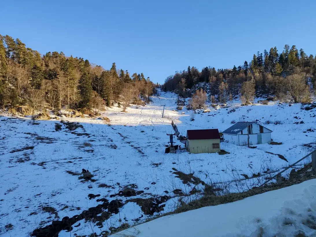 Что сейчас происходит на территории Лагонаки и нужен ли россиянам ещё один горнолыжный курорт вместо заповедника