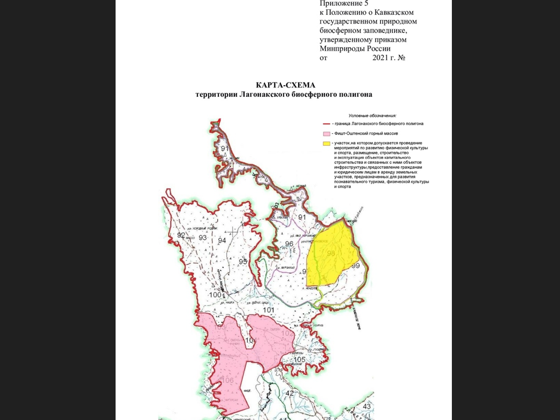 Что сейчас происходит на территории Лагонаки и нужен ли россиянам ещё один горнолыжный курорт вместо заповедника