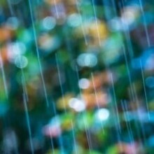 Tom, г. Майами