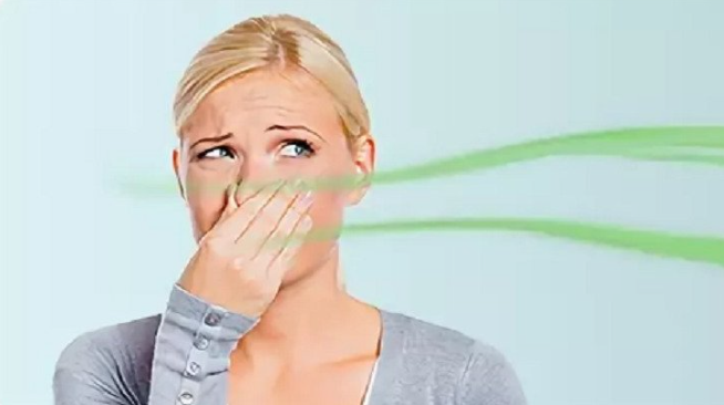 Как избавиться от запаха плесени | Запах сырости в квартире | Воздухоочистители