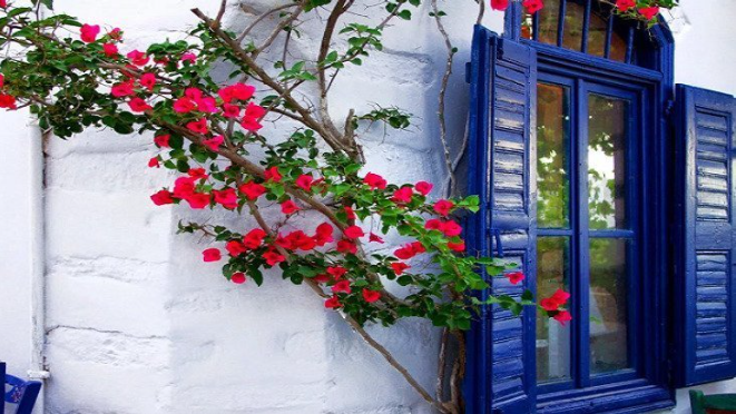 Окна и двери | Характеристики оконных и дверных проемов