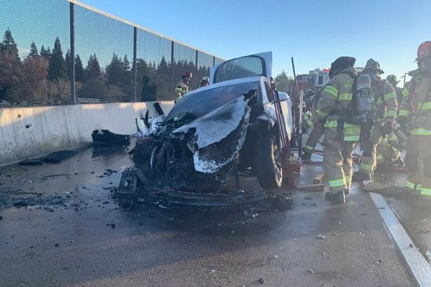 Tesla горит, а Twitter издевается над Илоном Маском, пока борятся с огнем