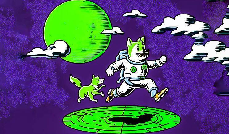 60% держателей Dogecoin в прибыли, а большинство инвесторов SHIB терпят убытки!