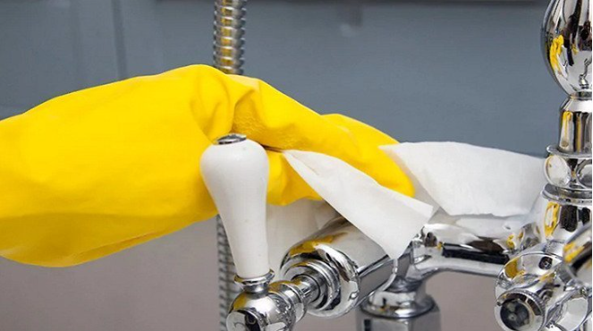 Средство от плесени | Чем удалить плесень