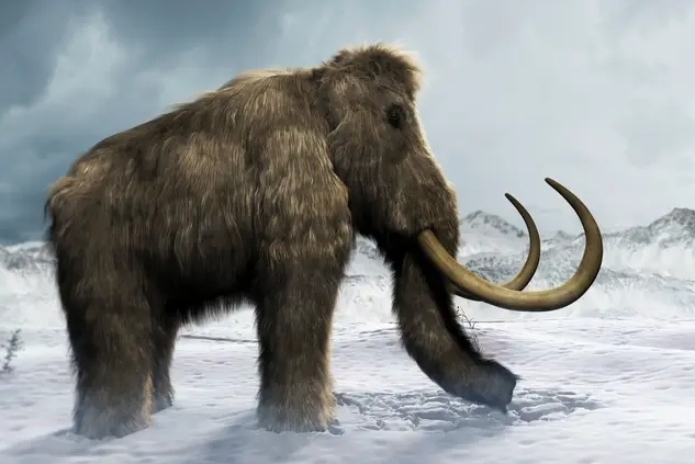Ученые говорят, что они вернут шерстистого мамонта от вымирания через четыре года