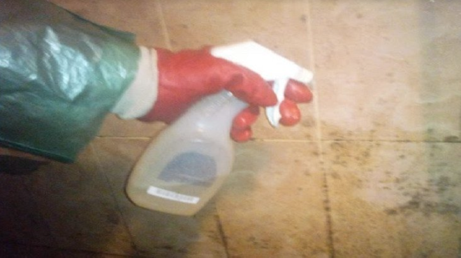 Средство от плесени | Чем удалить плесень