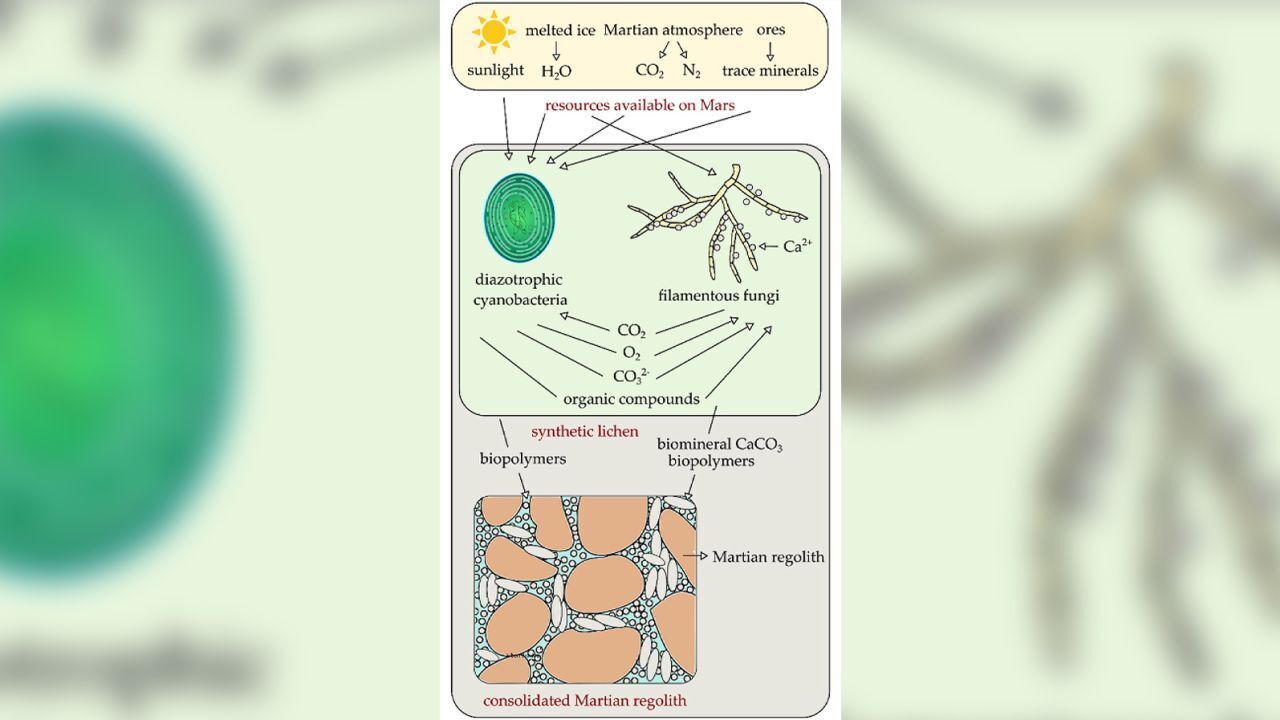 Научно-фантастические идеи, которые могут изменить будущее освоения космоса