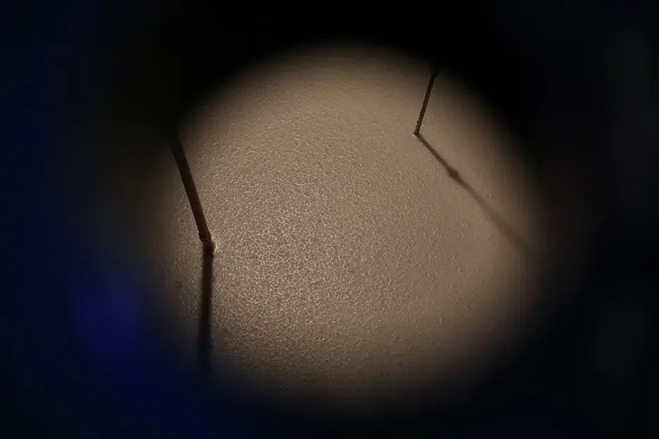 Процесс приготовления саке