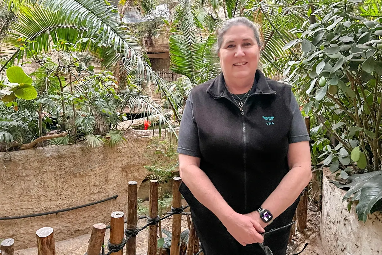 Сотрудники аквариума были настороже в отношении подозреваемого в зоопарке Далласа, когда заметили его в гостях