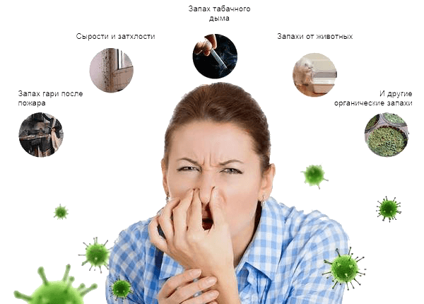 Как устранить неприятные запахи в квартире