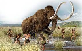 Неандертальцы охотились на огромных слонов и кормили 100 человек в течение МЕСЯЦА.