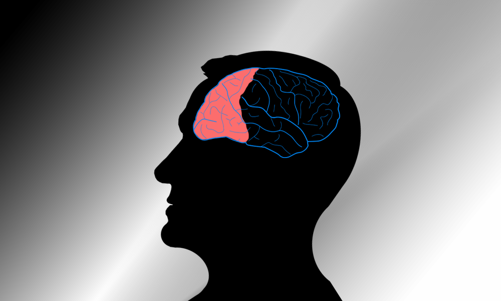 Почему человеческий мозг развивается десятилетиями