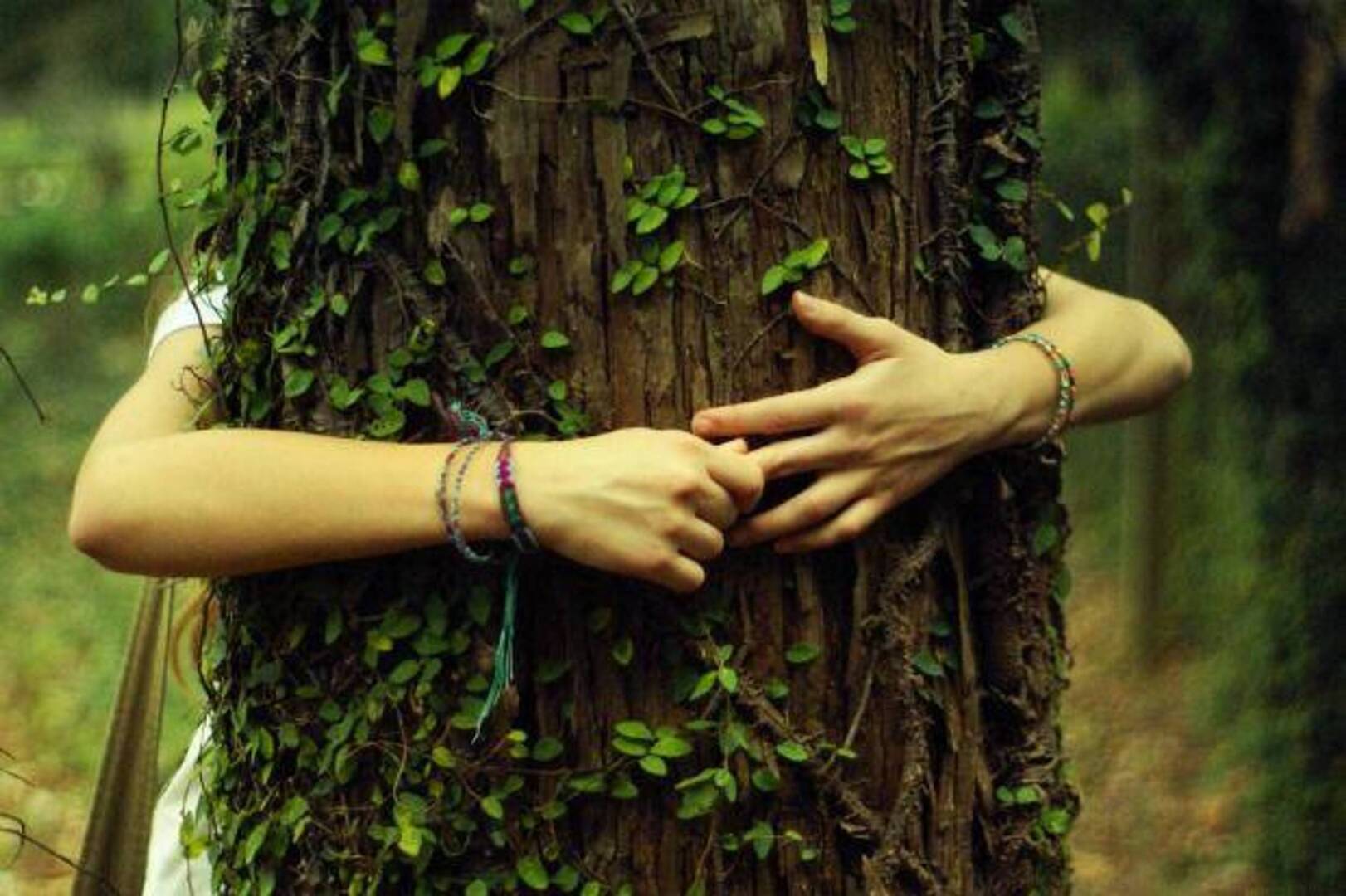 Силы связанные с природой. Единение с природой. Девушка обнимает дерево. Единение человека с природой. Объятия с деревьями.