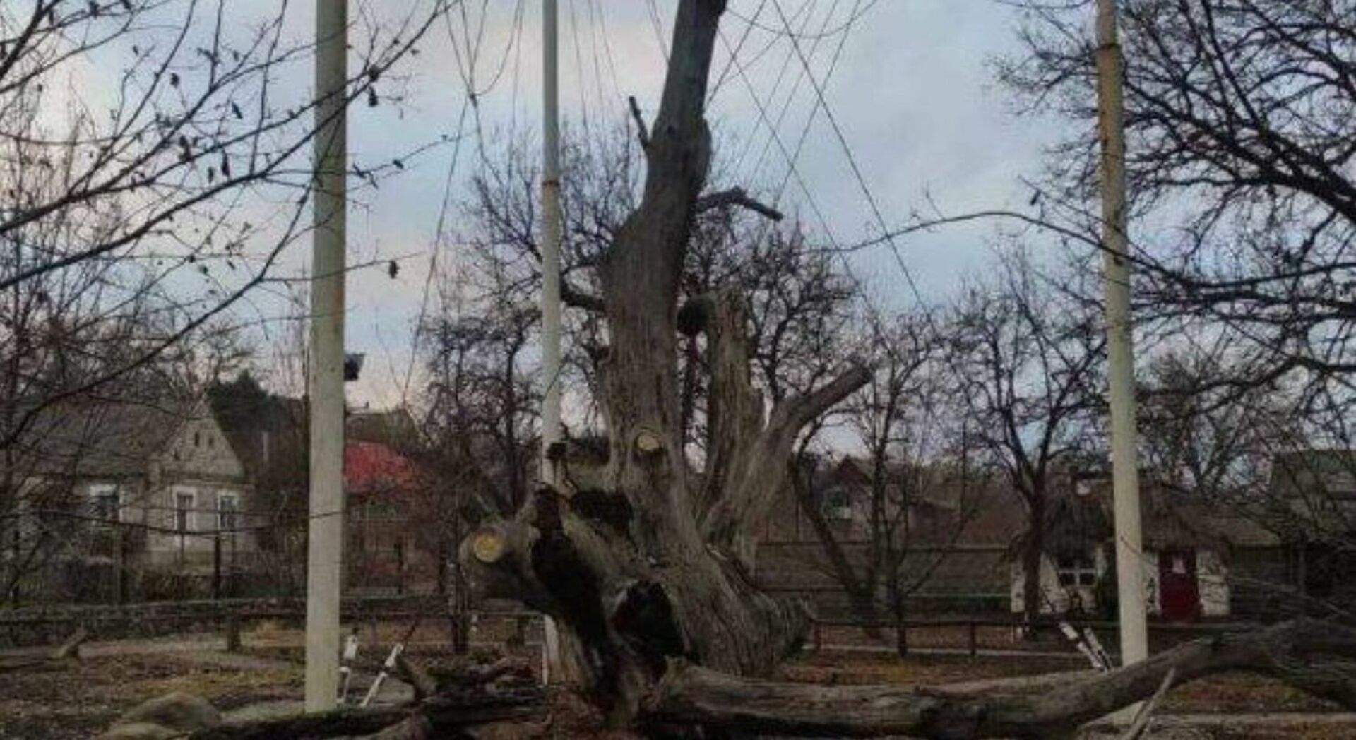 Спецоперация РФ на Украине, события 08.02.2023 года.. Зона сражений - Донбасс. Доклад(брифинг) МО РФ. Ход СВО и Карта сражений за Донбасс-2023