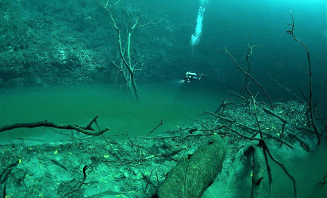 Краснодарский край не случайно притягивает многих россиян. Происходит это благодаря их генетической памяти