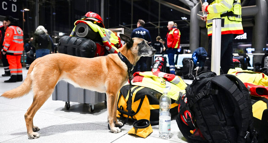 Землетрясение в Турции и Сирии: какие страны предложили помощь и какую помощь они предоставляют?