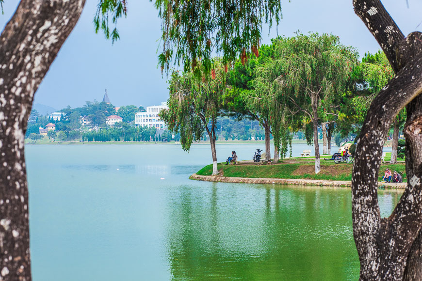 Мой Далат: Фу Нгуен.