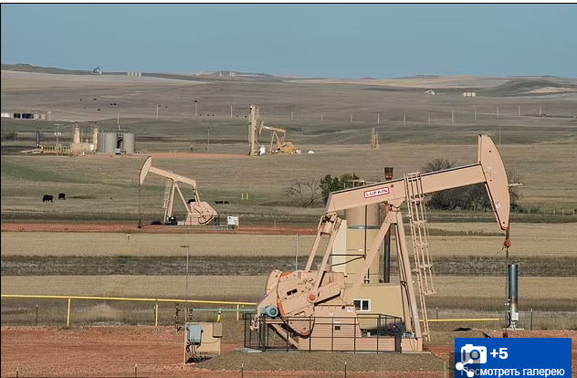 Путешествие мечты