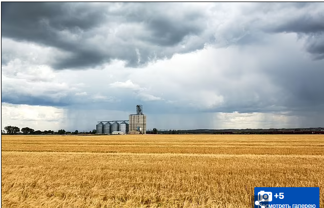 Путешествие мечты