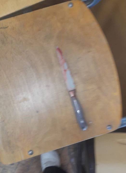 Пятиклассница из Химок зарезала свою одноклассницу из-за компьютерной игры Genshin Impact.