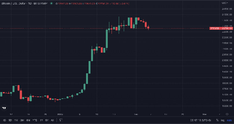 Краткий прогноз экспертов на самую популярную криптовалюту в 2023 году.