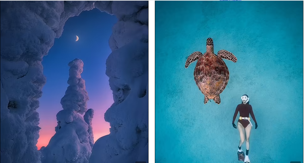 В 2023 Sony World Photography Awards представлены лучшие отдельные снимки из 55 стран, принявших участие