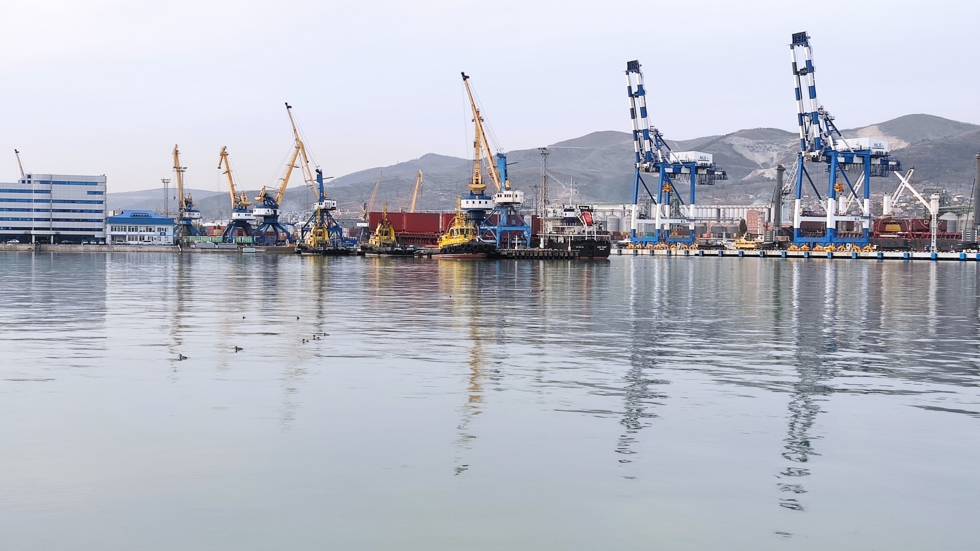 Краснодарский край не случайно притягивает многих россиян. Происходит это благодаря их генетической памяти