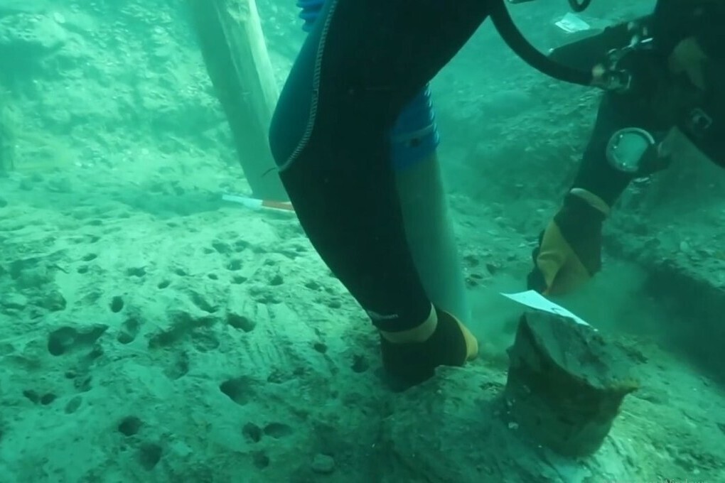 Краснодарский край не случайно притягивает многих россиян. Происходит это благодаря их генетической памяти