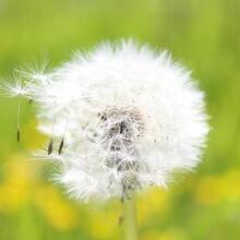 По Приколу, г. Санкт-Петербург