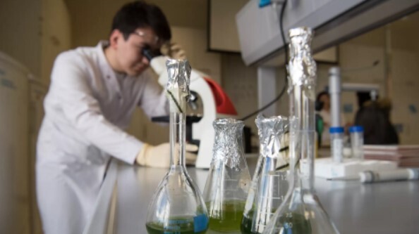 Интересные факты обо всем