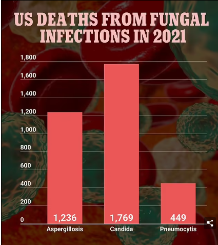 Первая в мире вакцина, которая борется с целым рядом грибковых инфекций