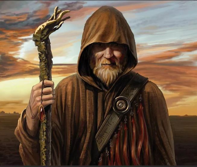 Горячая тарелка риса