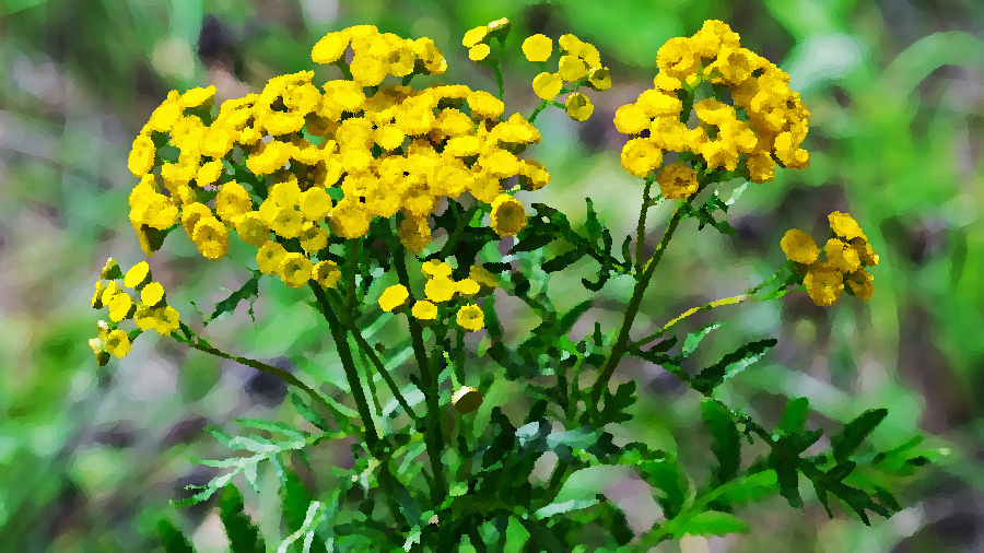 Как в короткий срок избавиться от головных болей.