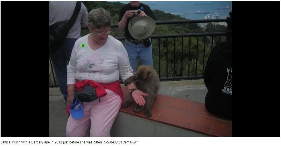 Что произойдет, если вы заболеете или получите травму (или вас укусит обезьяна) на круизном лайнере?