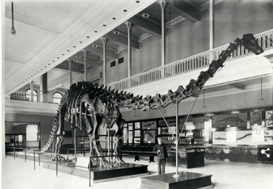 Самый большой динозавр Земли приземлился в Британии