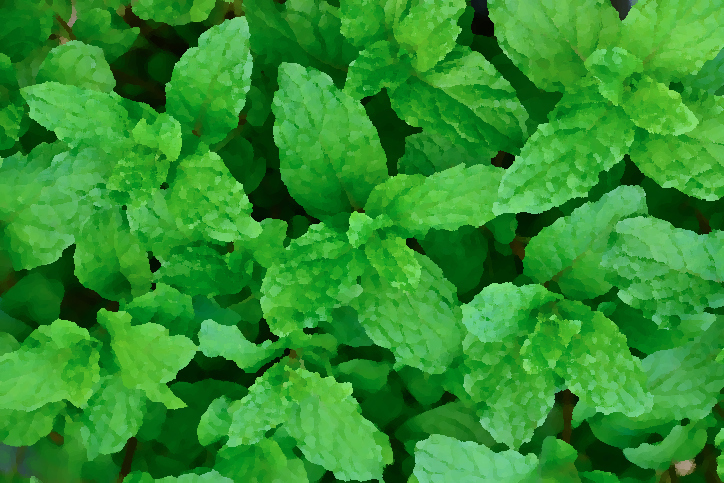 Как в короткий срок избавиться от головных болей.