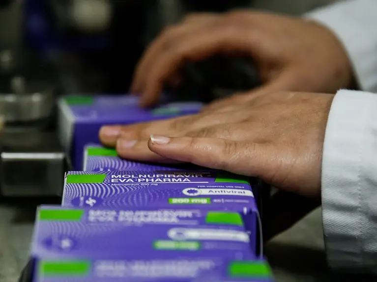 Эффект от лекарств против COVIDа (Молнупиравир) - вирусные мутации