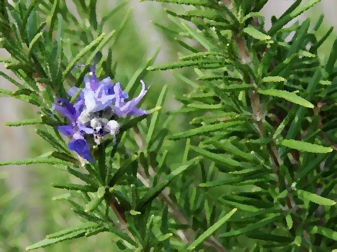 Как в короткий срок избавиться от головных болей.