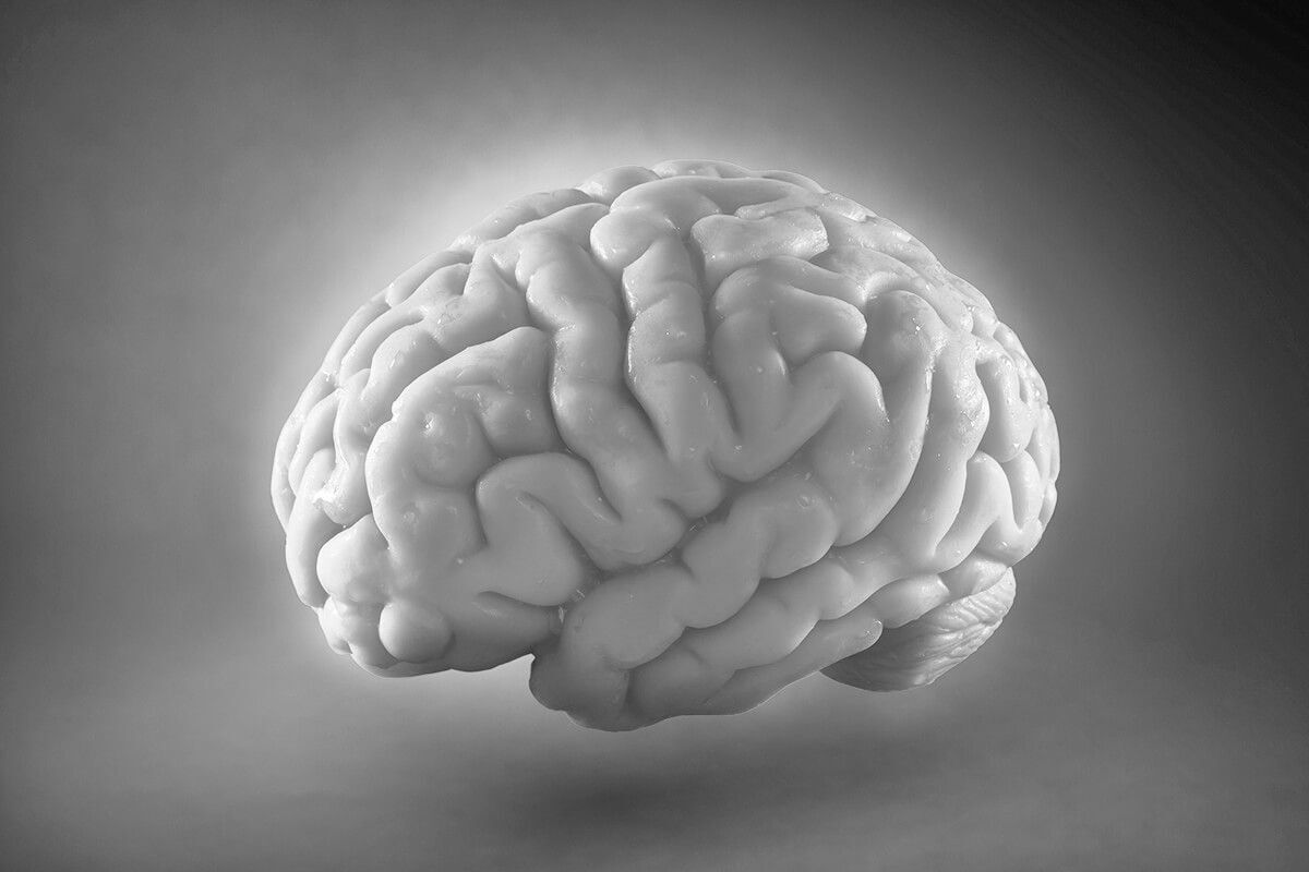 Развеиваем мифы: 6 мифов о человеческом теле