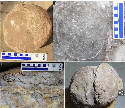 Самый большой динозавр Земли приземлился в Британии