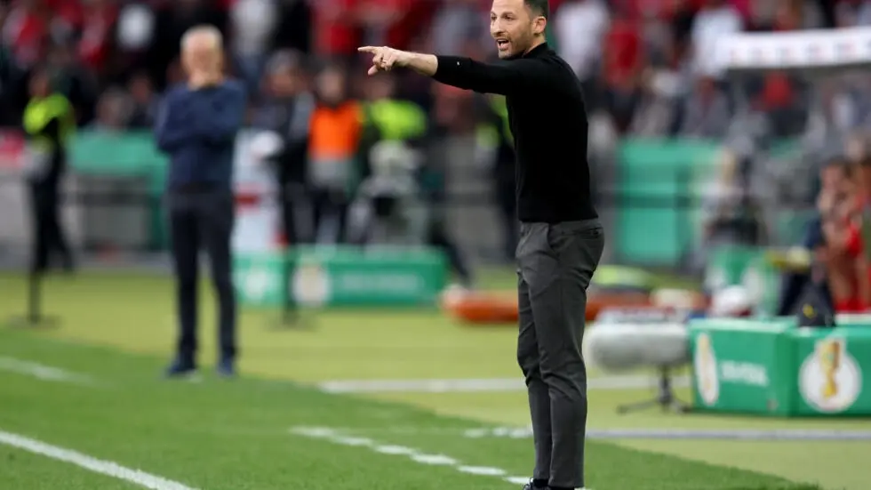 Новый тренер Тедеско хочет видеть Бельгию "счастливой, мотивированной" после провала чемпионата мира