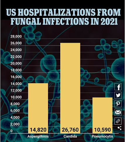 Первая в мире вакцина, которая борется с целым рядом грибковых инфекций