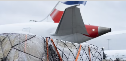 Самый большой динозавр Земли приземлился в Британии