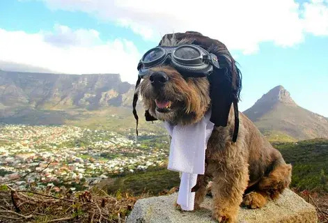 Россия.Уникальность внутреннего туризма.